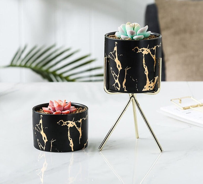 Vaso Per Piante Piccolo Dei Bassifondi (X3)