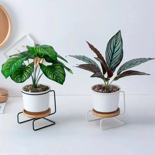 Piccolo Vaso Da Fiori Decorativo Istantaneo