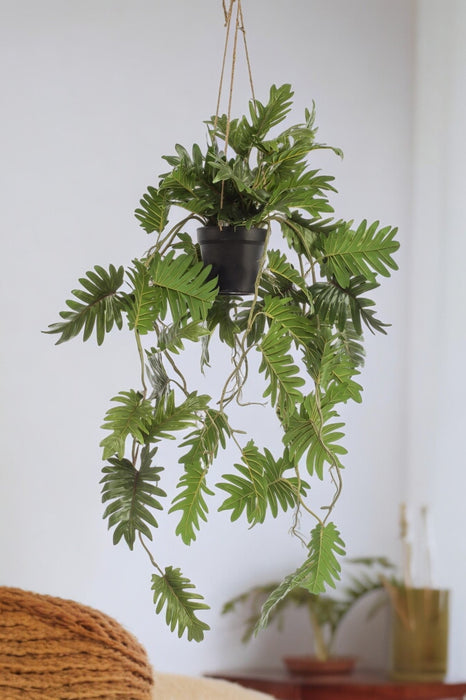 Pianta Artificiale Di Filodendro - H80 Cm, Ø18 Cm