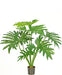 Filodendro Xanadu - Pianta Verde Artificiale