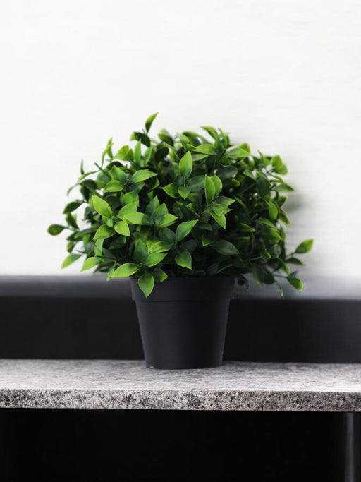 Photonia - Pianta Artificiale Da Esterno In Vaso