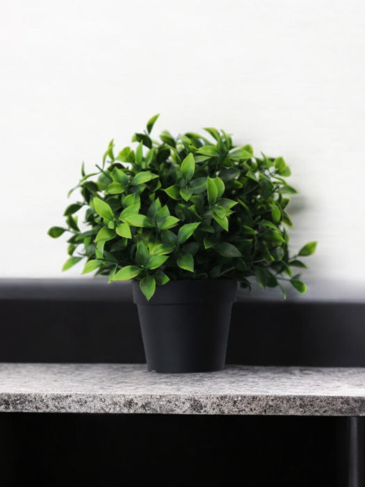 Photonia - Pianta Artificiale Da Esterno In Vaso