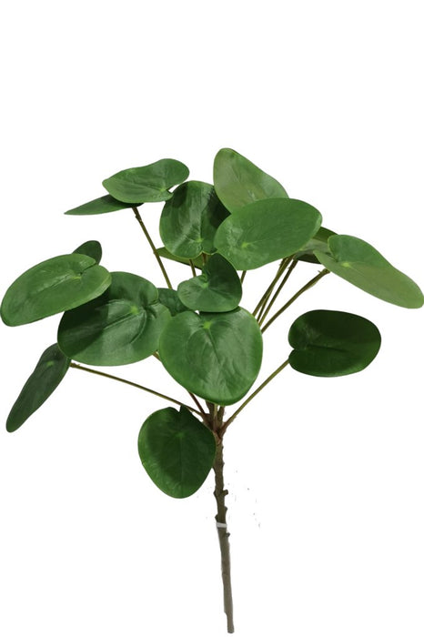 Pilea Peperomioides - Fogliame Artificiale