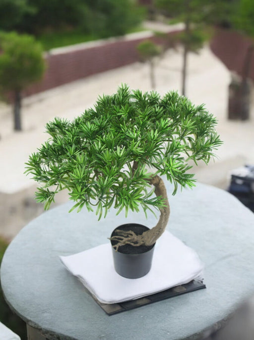 Pino - Bonsai Artificiale