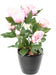 Peonia Artificiale 60 Cm Rosa Decorazione Interni