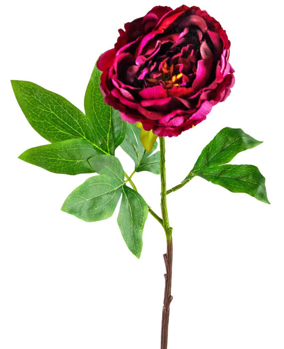 Melanzana Peonia Artificiale