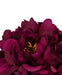 Peonia Artificiale Viola