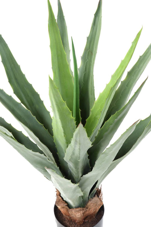 Pianta Di Agave Artificiale 80Cm Per Interni Ed Esterni
