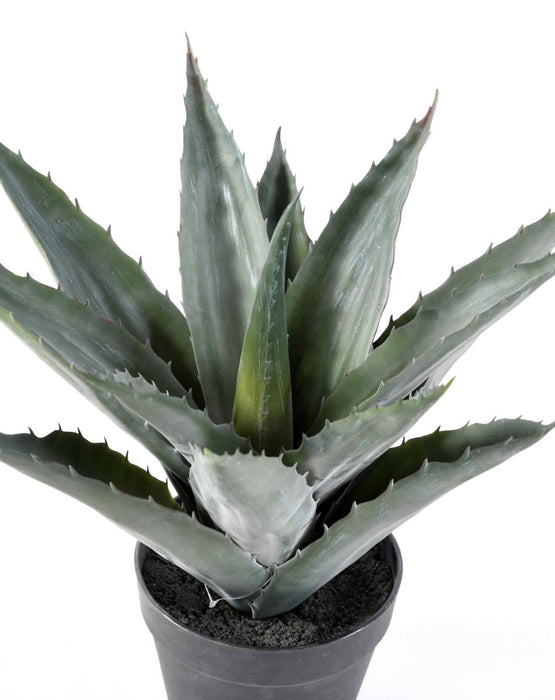 Pianta Di Agave Artificiale In Vaso H.43Cm Verde