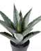 Pianta Di Agave Artificiale In Vaso H.43Cm Verde