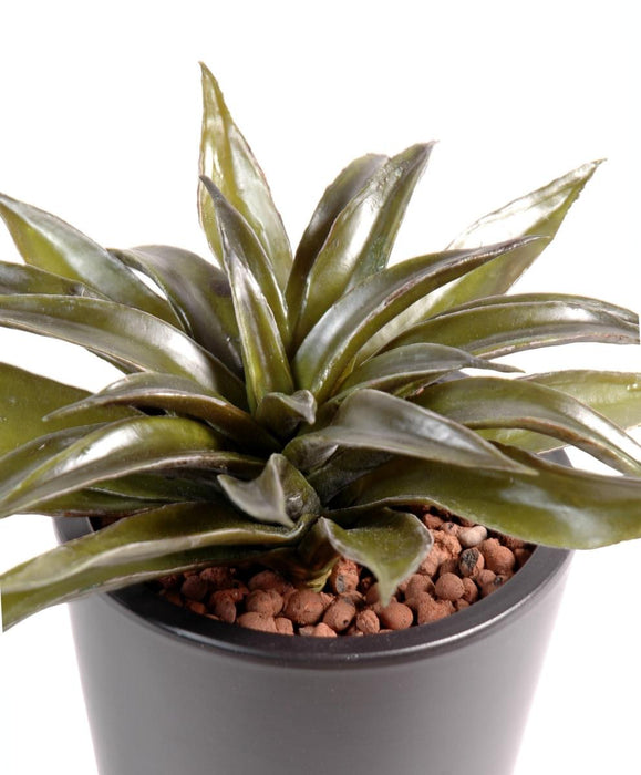Pianta Di Agave Artificiale Da Interno 24 Cm Verde