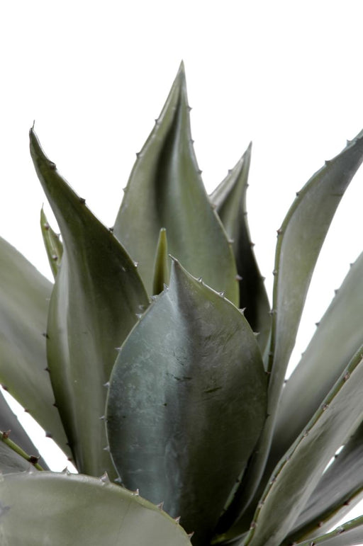Pianta Di Agave Artificiale Da Interno 75Cm Verde