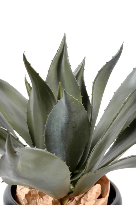 Pianta Di Agave Artificiale Da Interno 75Cm Verde