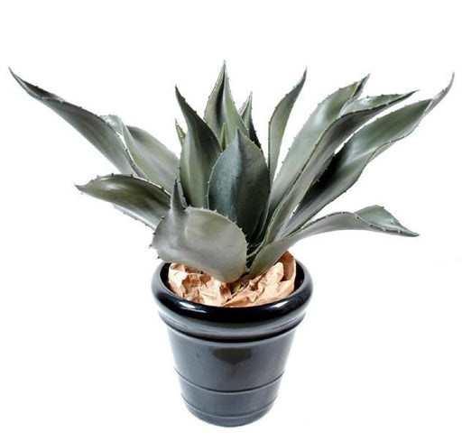 Pianta Di Agave Artificiale Da Interno 75Cm Verde