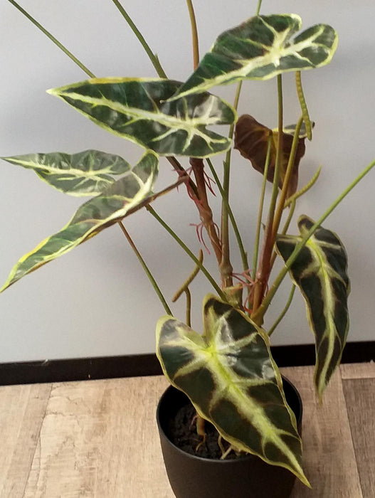 Pianta Di Alocasia Artificiale H.75 Cm In Vaso Nero