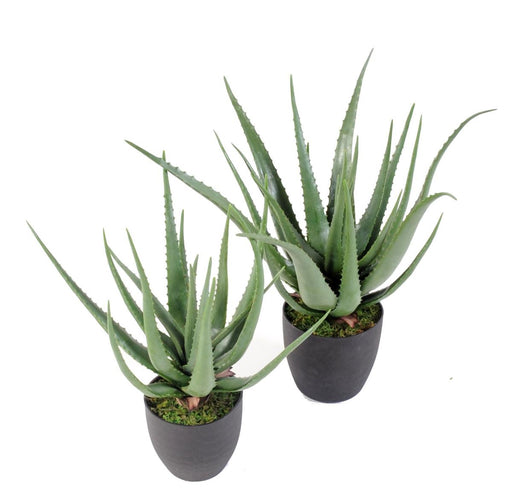 Pianta Artificiale Di Aloe Vera In Vaso 60Cm