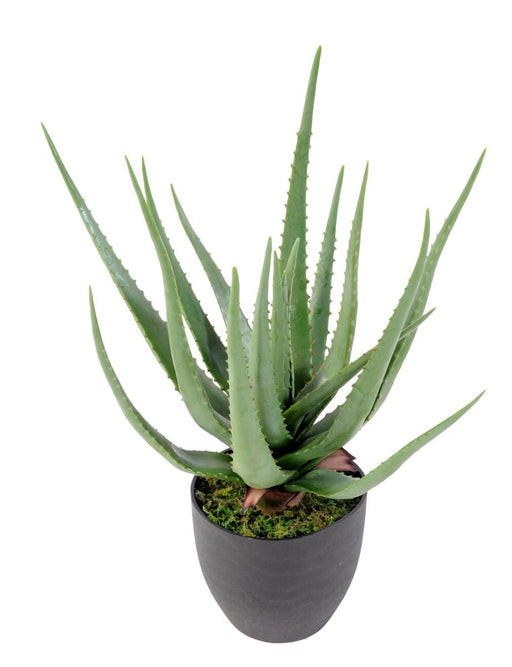Pianta Artificiale Di Aloe Vera In Vaso 60Cm