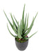 Pianta Artificiale Di Aloe Vera In Vaso 60Cm