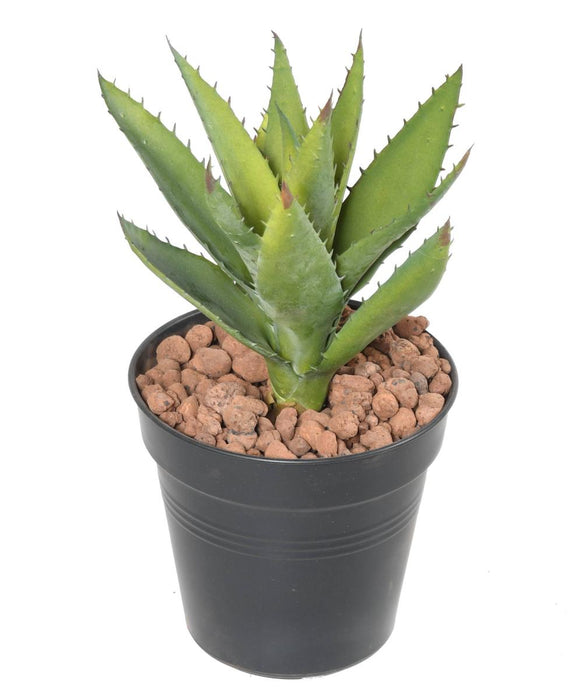 Pianta Artificiale Di Aloevera A Punto 26 Cm