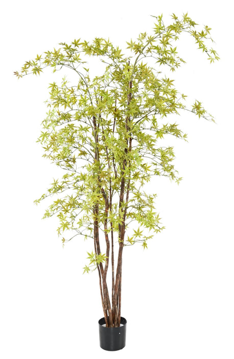 Pianta Aralia Artificiale 180Cm Per Interni Esterni