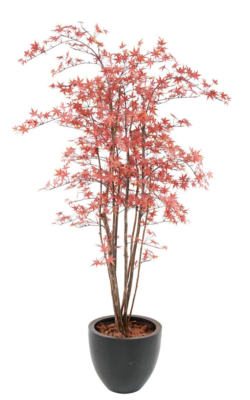 Pianta Aralia Artificiale Uv Da Esterno 180 Cm Rossa