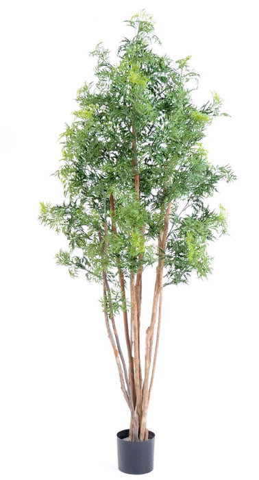 Pianta Artificiale Aralia Ming 180 Cm Per Interni Ed Esterni