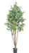 Pianta Artificiale Aralia Ming 180 Cm Per Interni Ed Esterni