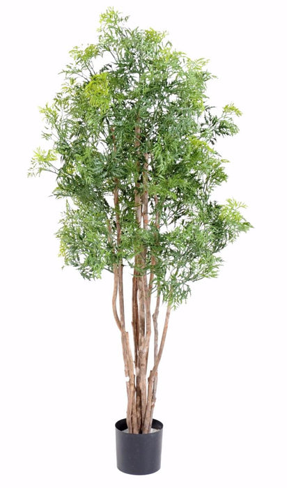 Pianta Artificiale Aralia Ming H160Cm Per Interni Esterni