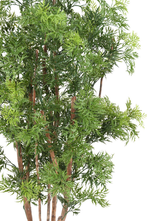 Pianta Artificiale Aralia Ming Nitida 170 Cm Uv