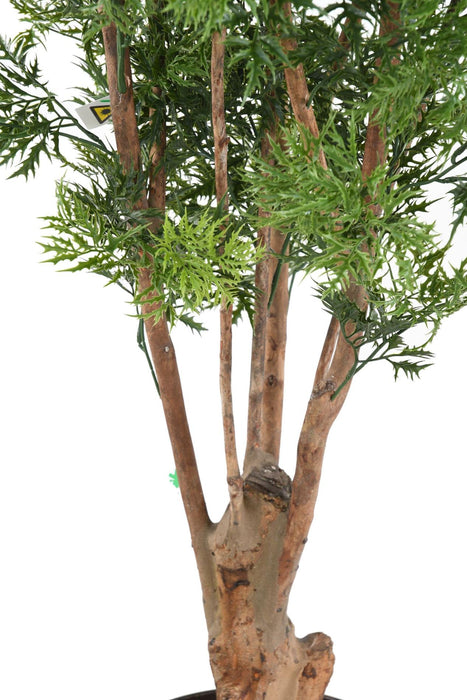 Pianta Artificiale Aralia Ming Nitida 170 Cm Uv