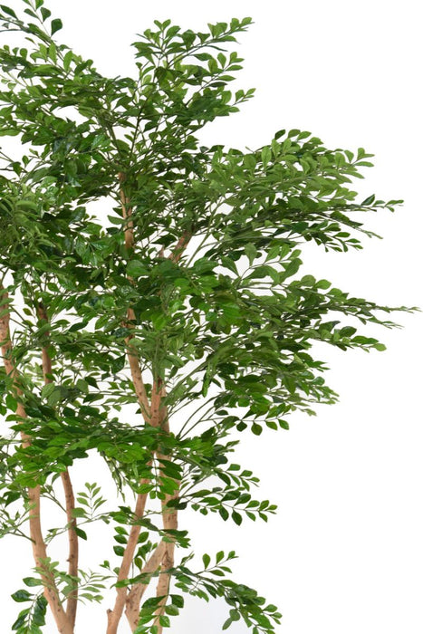 Pianta Acacia Artificiale 5 Tronchi H.180Cm Verde
