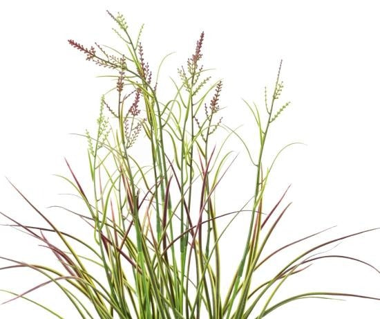 Pianta Acorus Artificiale Da Fiore In Vaso 45 Cm