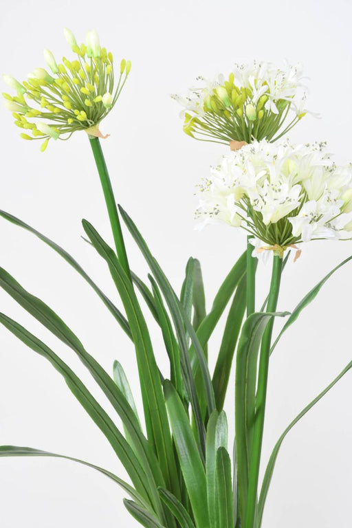 Pianta Artificiale Agapanthus 90Cm Bianca