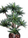 Pianta Di Agave Artificiale 105 Cm Per Interni