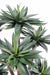 Pianta Di Agave Artificiale 105 Cm Per Interni