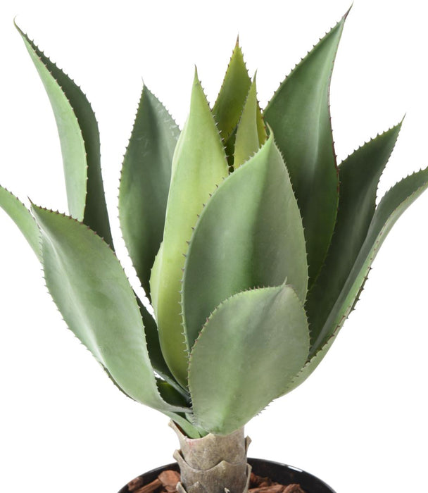 Pianta Di Agave Artificiale Cactus Da Interno 60Cm