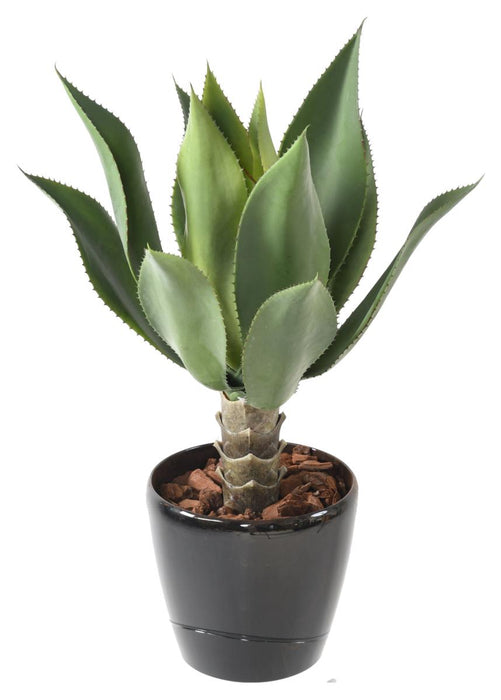 Pianta Di Agave Artificiale Cactus Da Interno 60Cm