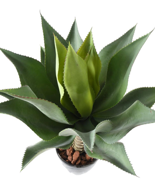 Pianta Artificiale Agave Cactus Da Interno 75Cm