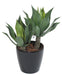 Pianta Artificiale Agave Cactus Da Interno 75Cm