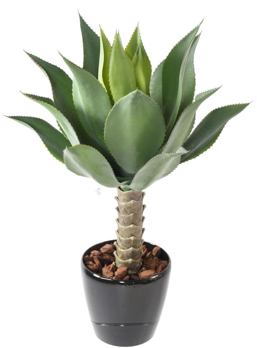 Pianta Artificiale Agave Cactus Da Interno 75Cm
