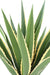 Pianta Artificiale Agave Furcraea 110Cm Verde Giallo