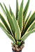 Pianta Artificiale Agave Furcraea 110Cm Verde Giallo