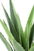Pianta Artificiale Agave Verde 110Cm Per Interni Esterni