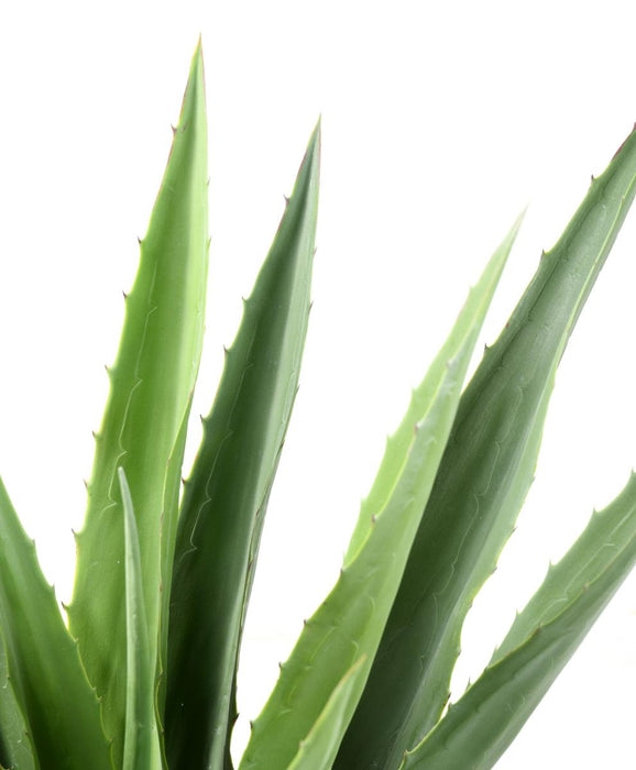 Pianta Artificiale Agave Verde 110Cm Per Interni Esterni