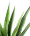 Pianta Artificiale Agave Verde 110Cm Per Interni Esterni