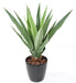 Pianta Artificiale Agave Verde 110Cm Per Interni Esterni