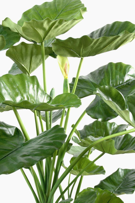 Pianta Artificiale Alocasia 120Cm Decorazione Interni