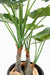 Pianta Artificiale Alocasia 120Cm Decorazione Interni