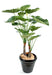Pianta Artificiale Alocasia 120Cm Decorazione Interni