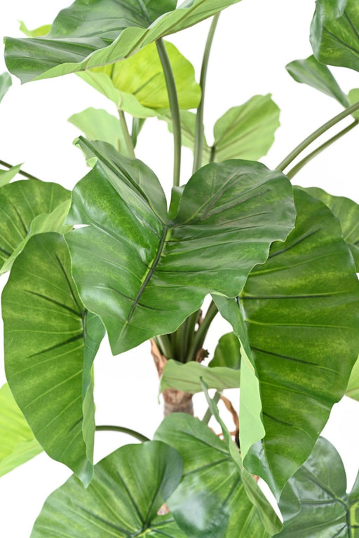 Pianta Alocasia Artificiale 3 Tronchi 130 Cm